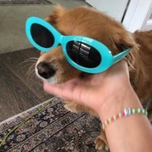 Meet your Posher, Abbe